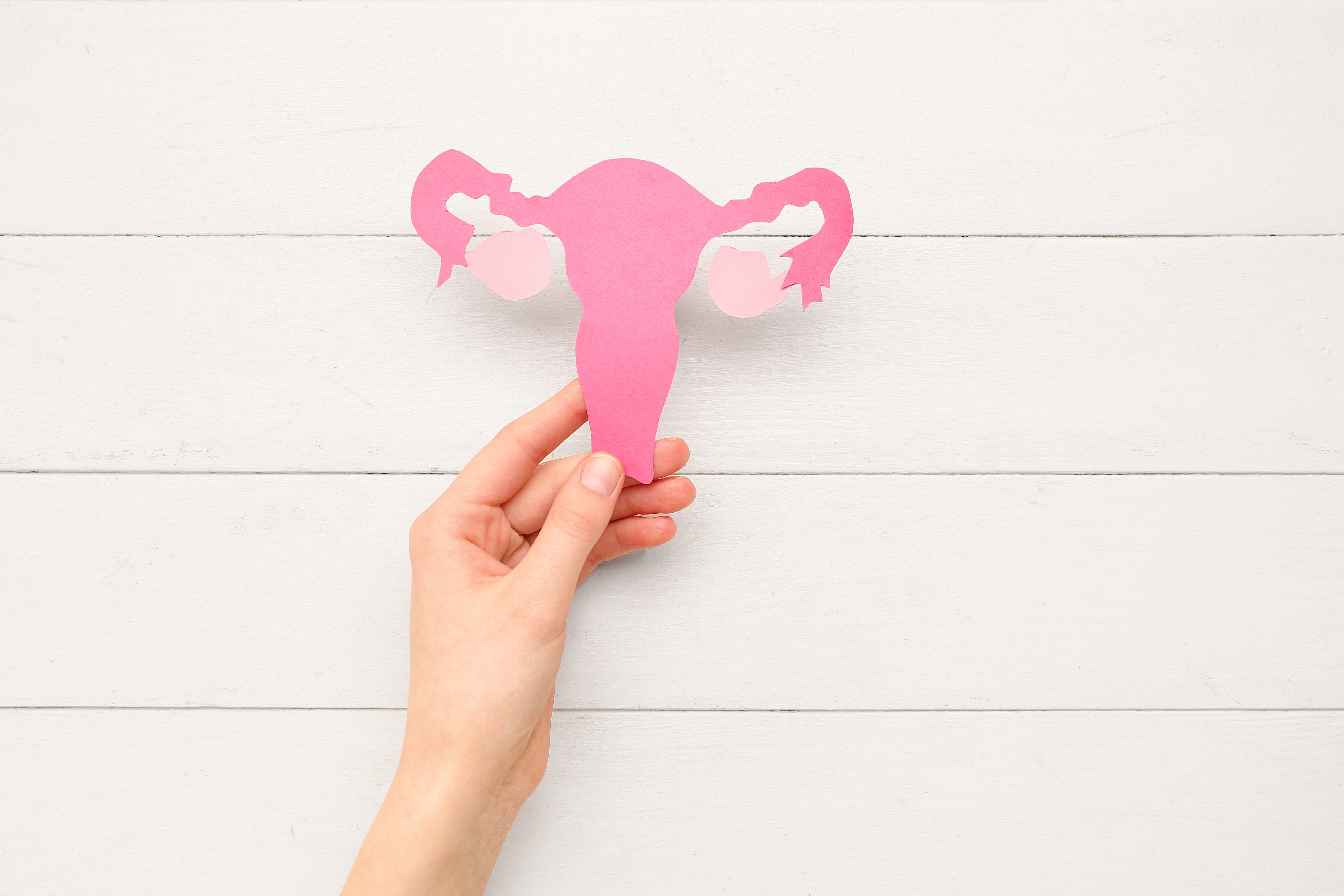 Woman,With,Paper,Uterus,On,White,Wooden,Background.,Hormones,Concept